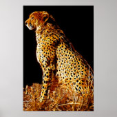 Haltung von Cheetahs Poster (Vorne)