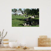 Haltung von Kühen auf der Bauernfotografie in der  Poster (Küche)