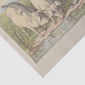 Haltung von Nutztieren und Ephemera Seidenpapier (Detail)