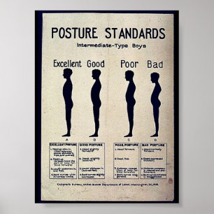 Haltungsstandards Poster