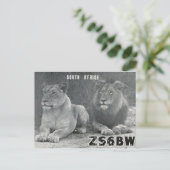Ham Radio QSL Card Südafrika Lions Postkarte (Stehend Vorderseite)