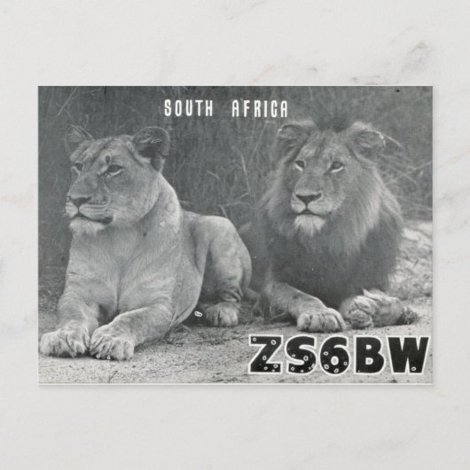 Ham Radio QSL Card Südafrika Lions Postkarte (Vorderseite)