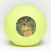 Ham Tennisbälle (Vorderseite)