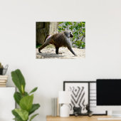 Hamadryas-Baboon auf dem Boden Poster (Heimbüro)