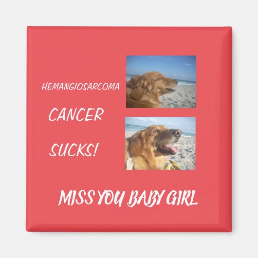 Hämangiosarkom - Gewohnte Hommage Magnet (Vorne)