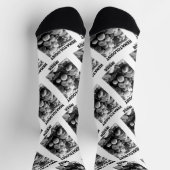 Hämatologe in Blutkörperchen Elektrokrakop Socken (Oben)