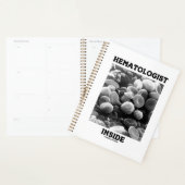 Hämatologe in den Blutkörperchen Planer (Anzeige)