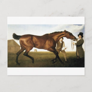 Hambletonian von George Stubbs Postkarte
