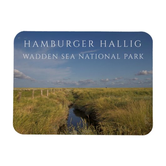 Hamburger Hallig, Wattenmeer, Deutschland Magnet (Horizontal)