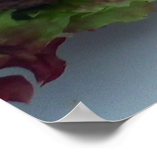 Hamburger Poster (Ecke)