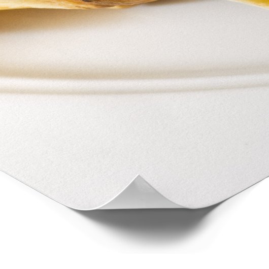 Hamburger und Fries Poster (Ecke)