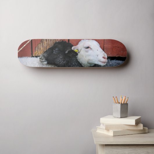 HAMbWG Black Sheep White Sheep Skateboard (Wandkunst (Horz))