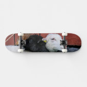 HAMbWG Black Sheep White Sheep Skateboard (Horizontal)