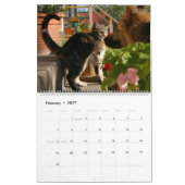 HAMbWG - Bright Cats Kalender (Feb 2027)