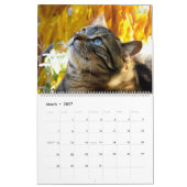 HAMbWG - Bright Cats Kalender (Mär 2027)