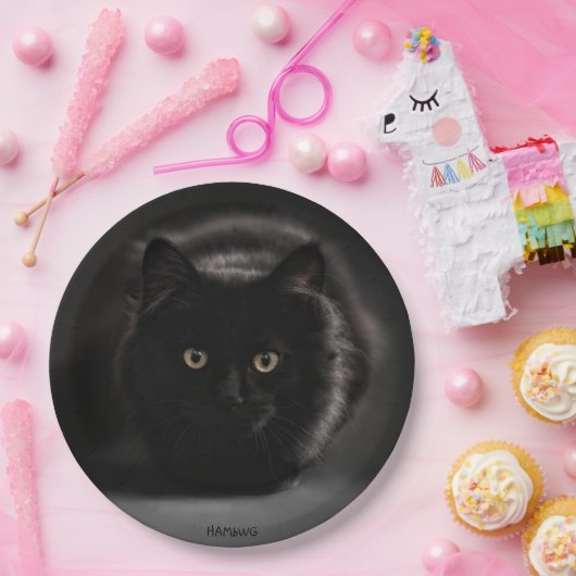 HAMbWG - Custom Paper Tellers 9" - Black Cat Pappteller (Party)