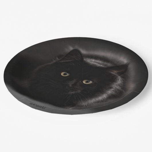 HAMbWG - Custom Paper Tellers 9" - Black Cat Pappteller (Schrägansicht)