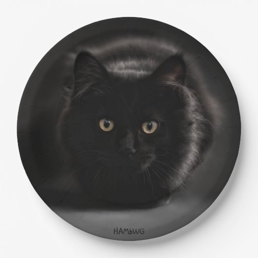 HAMbWG - Custom Paper Tellers 9" - Black Cat Pappteller (Vorderseite)