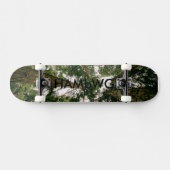 HAMbWG Design - Hard Maple Skateboard - Wald (Horizontal)