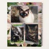 HAMbWG - Foto Daily Planner - Gerber Daisy Planer (Rückseite)