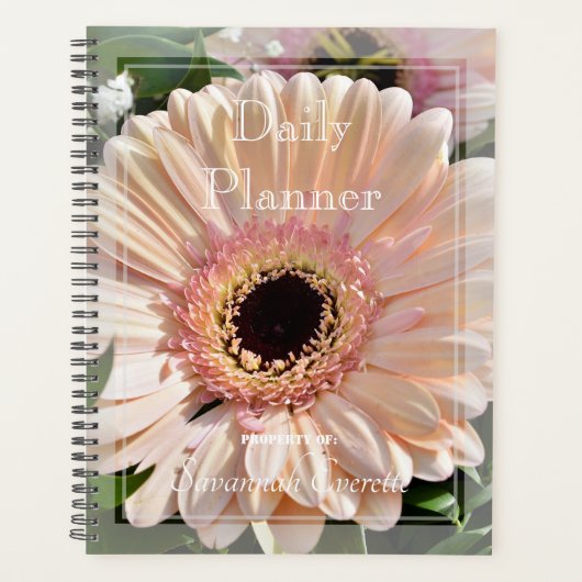 HAMbWG - Foto Daily Planner - Gerber Daisy Planer (Vorderseite)
