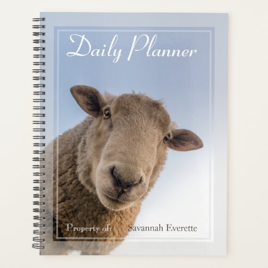 HAMbWG - Foto Daily Planner - Schafe Planer (Vorderseite)
