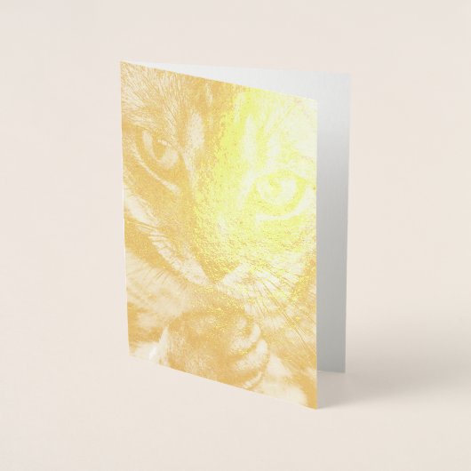 HAMbWG - Gold Foil Card - Katze Folienkarte (Vorderseite)
