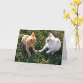 HAMbWG - Grußkarte - 2 Katzen Karte (Gelbe Blume)