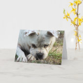 HAMbWG - Grußkarte - Trauriger Hund Karte (Gelbe Blume)