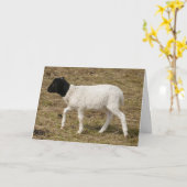 HAMbWG Grußkarten - Schwarzweiß Karte (Gelbe Blume)