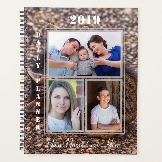 HAMbWG - Kittens Planer (Vorderseite)