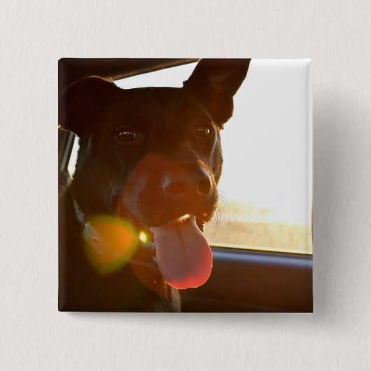 HAMbWG - Knopf - Hund fährt im Auto mit Button (Vorderseite)
