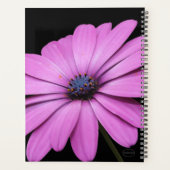 HAMbWG - Lila Daisy Planer (Rückseite)