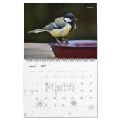 HAMbWG Natur & Wildes Leben - Kalender (Mär 2027)