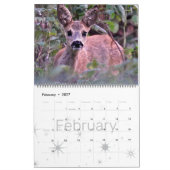 HAMbWG Natur & Wildes Leben - Kalender (Feb 2027)