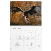 HAMbWG Natur & Wildes Leben - Kalender (Jan 2026)