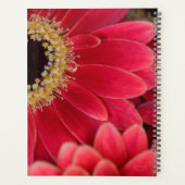 HAMbWG - Pink Gerber Daisy Planer (Rückseite)
