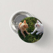 HAMbWG - Quadratischer Knopf - 2 Katzen Button (Vorne & Hinten)