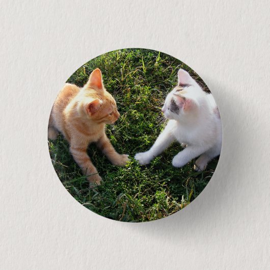 HAMbWG - Quadratischer Knopf - 2 Katzen Button (Vorderseite)