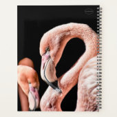 HAMbWG - Rosa Flamingos Planer (Rückseite)