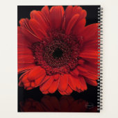 HAMbWG - Rote Blume Planer (Rückseite)