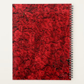 HAMbWG - Rote Rosen Planer (Rückseite)