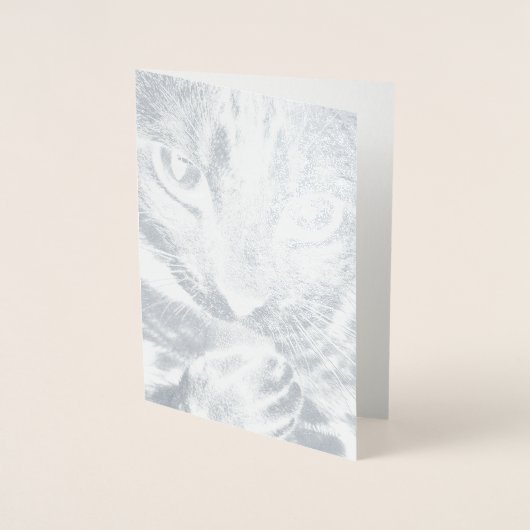 HAMbWG - Silberfolienkarte - Katze Folienkarte (Vorderseite)