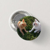 HAMbWG - Square Button - 2 Katzen (Vorne & Hinten)