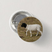 HAMbWG - Square Button - Black Head Sheep (Vorne & Hinten)