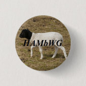 HAMbWG - Square Button - Black Head Sheep (Vorderseite)