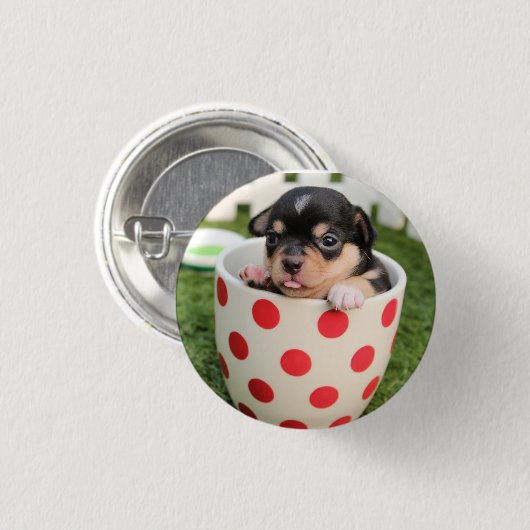 HAMbWG - Square Button - Teacup Puppy (Vorne & Hinten)