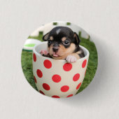 HAMbWG - Square Button - Teacup Puppy (Vorderseite)