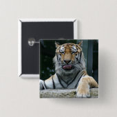 HAMbWG - Square Button - Tiger (Vorne & Hinten)