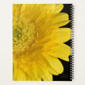 HAMbWG - Yellow Gerber Daisies Planer (Rückseite)